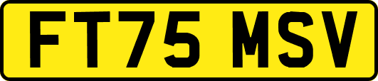 FT75MSV