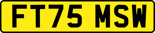 FT75MSW