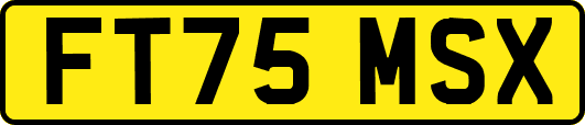 FT75MSX