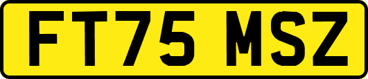 FT75MSZ