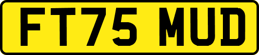 FT75MUD