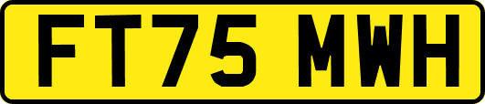 FT75MWH