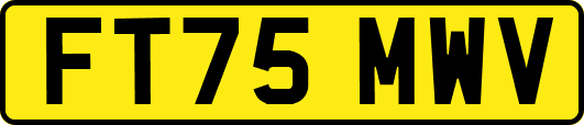 FT75MWV
