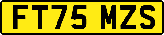 FT75MZS