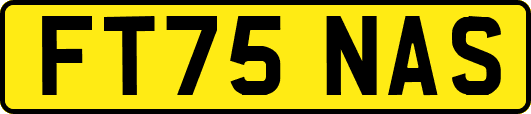 FT75NAS