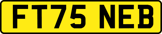 FT75NEB