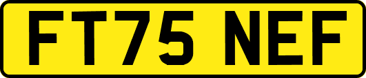FT75NEF