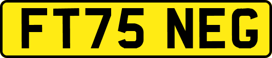 FT75NEG