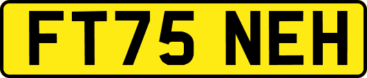 FT75NEH
