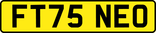 FT75NEO
