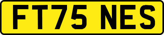 FT75NES