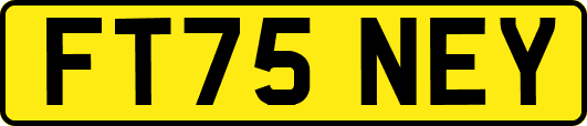 FT75NEY