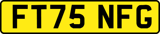 FT75NFG