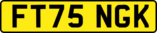 FT75NGK