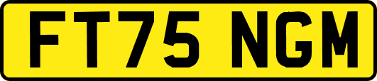 FT75NGM