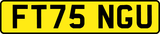 FT75NGU