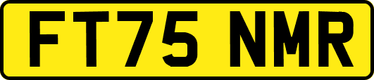 FT75NMR