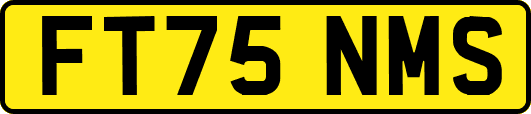 FT75NMS