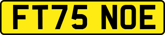 FT75NOE