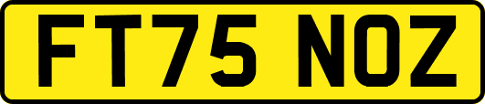 FT75NOZ