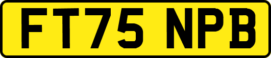FT75NPB