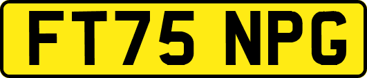 FT75NPG