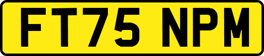 FT75NPM