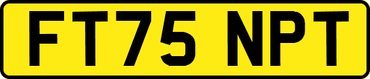 FT75NPT