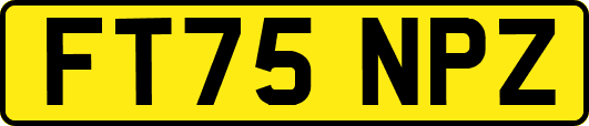 FT75NPZ