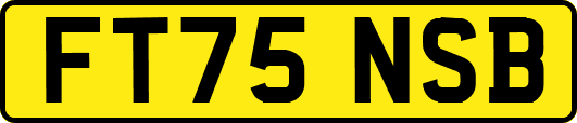 FT75NSB