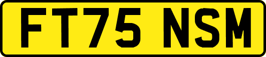 FT75NSM
