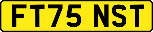 FT75NST