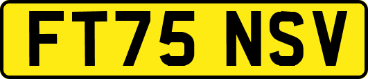 FT75NSV