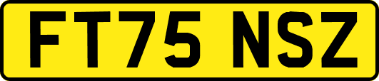 FT75NSZ