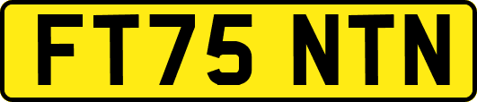 FT75NTN