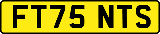 FT75NTS