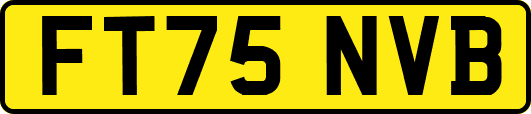 FT75NVB