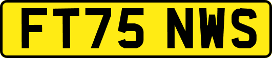 FT75NWS