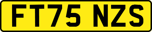 FT75NZS
