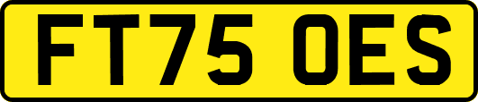 FT75OES