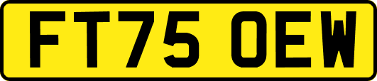 FT75OEW