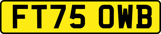 FT75OWB