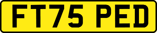 FT75PED