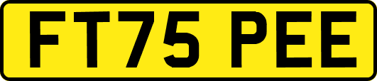 FT75PEE