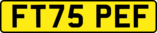 FT75PEF