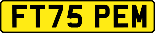 FT75PEM