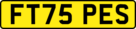 FT75PES