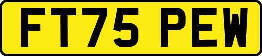 FT75PEW