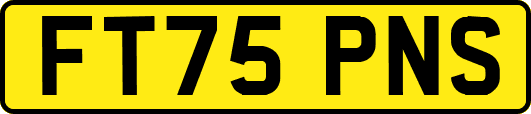FT75PNS