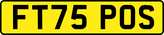 FT75POS